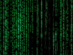 Smart Choices in a Data-Driven World How Executives Stay Ahead